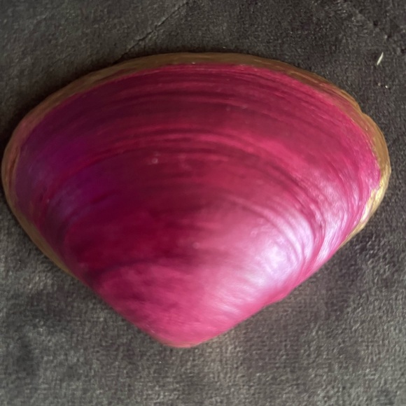 Floral Trinket Dish with Gold Accents - Picture 2 of 3